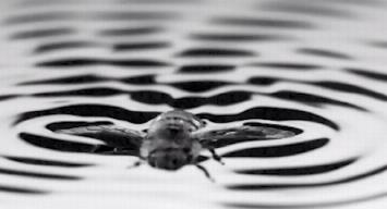 躲开老板隐蔽手机!这里是2019年最好玩的10个科技动图