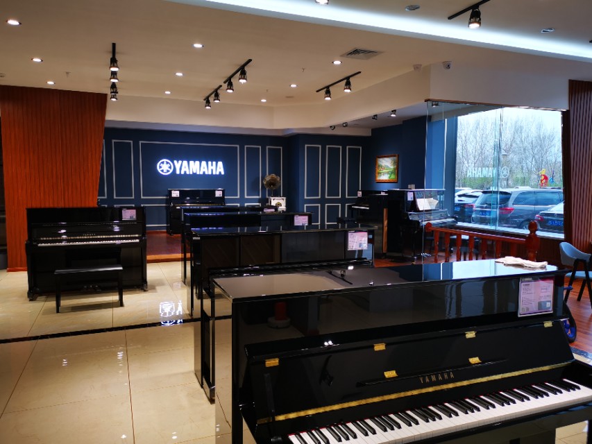 大庆乐器,大庆国际乐器店