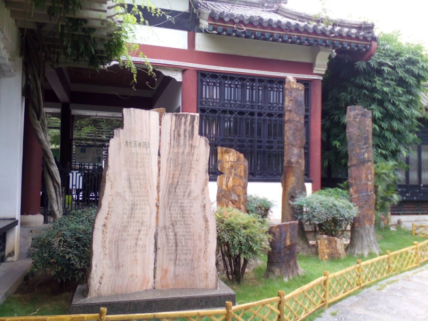 每日一景走进武汉中华奇石馆景区,武汉中华奇石馆有哪些奇石