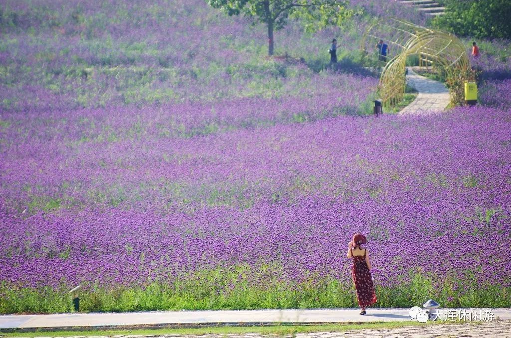 大连九月旅游攻略大全,大连11月旅游的最佳地方