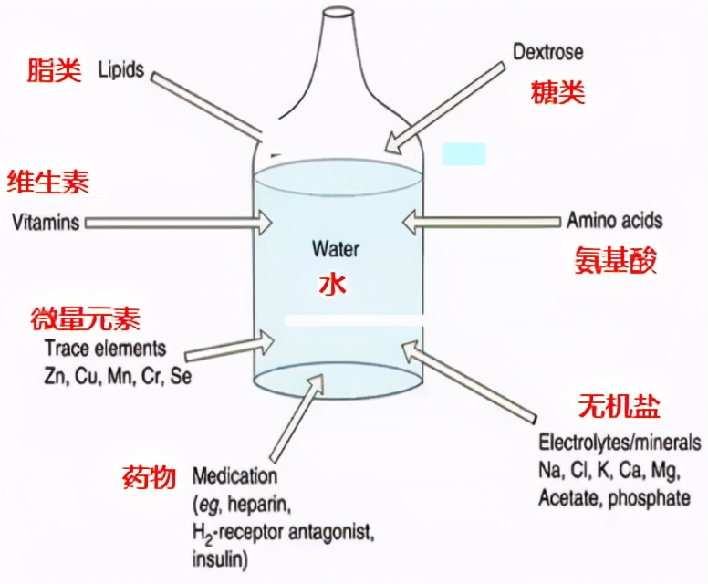 营养支持有哪些？肠内VS肠外如何选择？