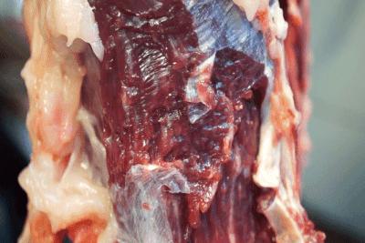 纯牛肉丸潮汕全网销量第一,正宗潮汕牛肉丸纯手工第一名