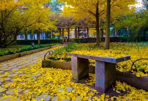 铁道院校哪些专业好,铁道类大学什么专业比较好