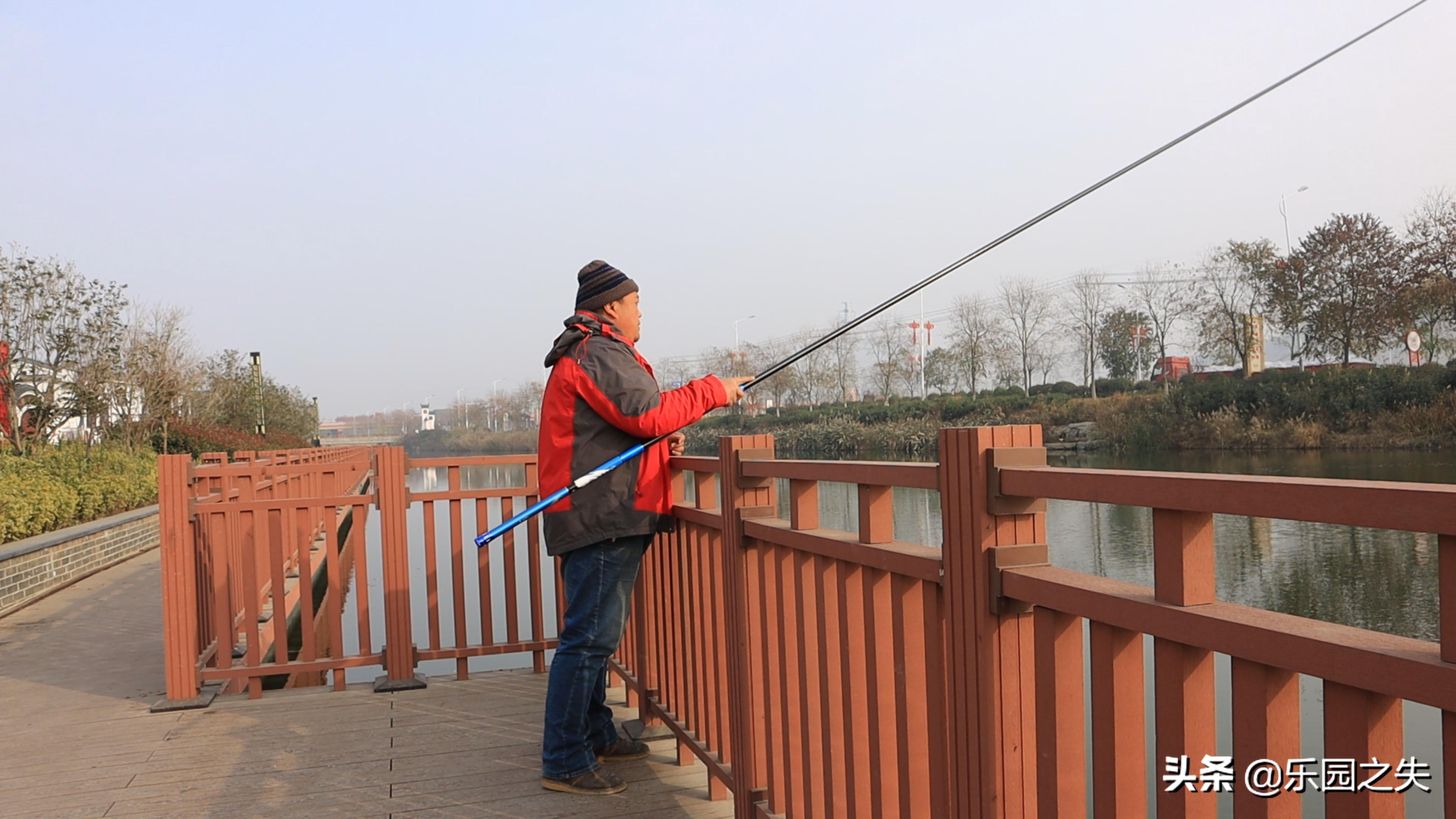 冬季钓鱼必杀饵红虫的选择与保鲜,冬季野钓红虫拉饵还需要打窝
