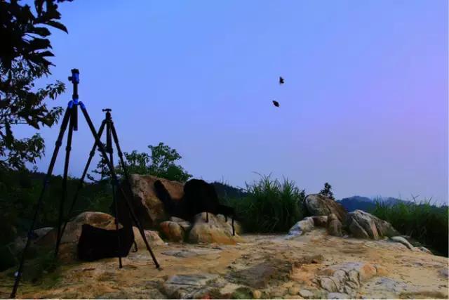 收藏重庆风景图片,值得收藏的重庆旅游攻略