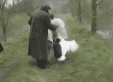 开心搞笑视频小哥哥,小哥哥搞笑视频gif