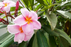 有深意的个性签名句句经典,个性签名经典语录精辟的短句