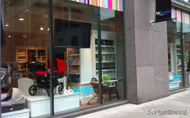 加拿大养小孩福利,加拿大养宠物必备什么