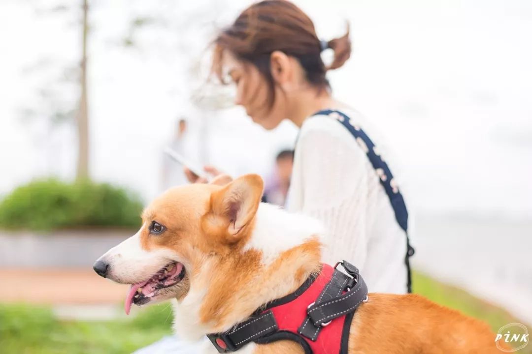 广州简约高级的拍照地方,广州免费室内拍照地方推荐