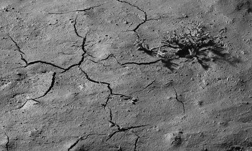 扒皮网红智商税,扒皮大牌智商税