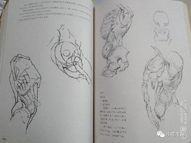 从零开始学绘画必备的画,从零开始学绘画第一步教程