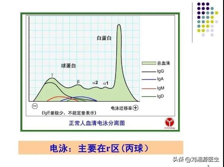 静脉丙种球蛋白怀孕用,免疫球蛋白与丙种球蛋白保胎