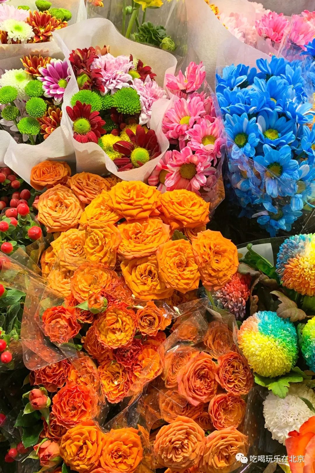 北京花市攻略大全,北京最美赏花景点