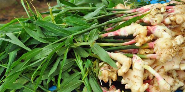 精油的有效期限是多久,精油一般开了保质期是多久