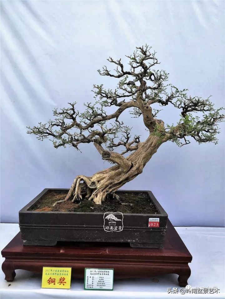 骞哥涔呬箙鐢滅敎铚滆湝,骞哥涔呬箙