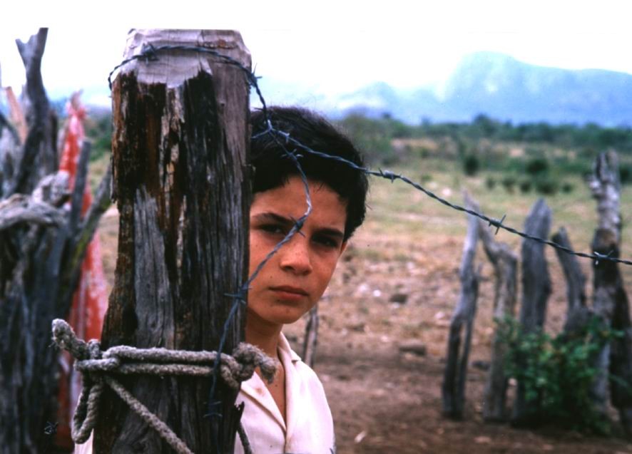 巴西电影从开始到结束,巴西电影十大巅峰之作