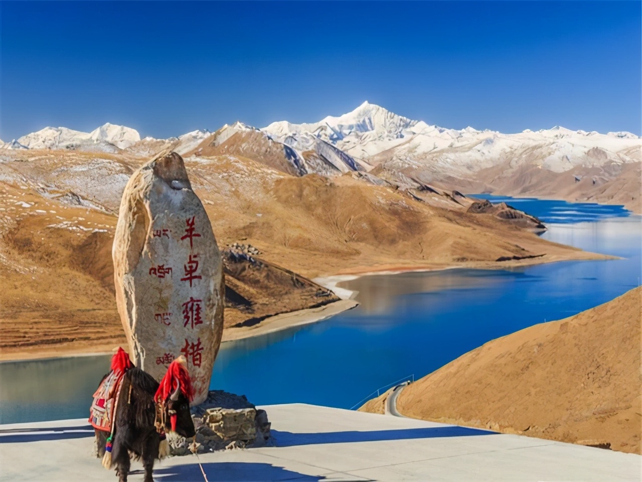 去*藏西**旅行不得不去注意的6件事,你知道多少?