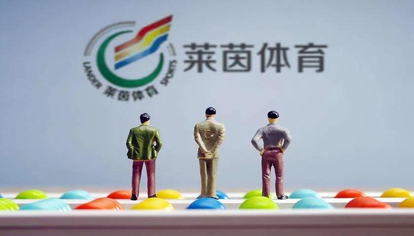 莱茵体育股票近一年涨跌,停牌前断崖式暴跌