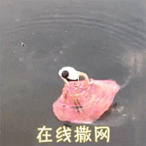 当一个婚骗，骗上了一个调查记者