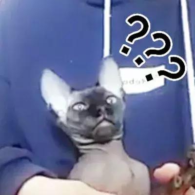 被吹爆了的网红产品凭啥这么火,被吹爆的网红产品