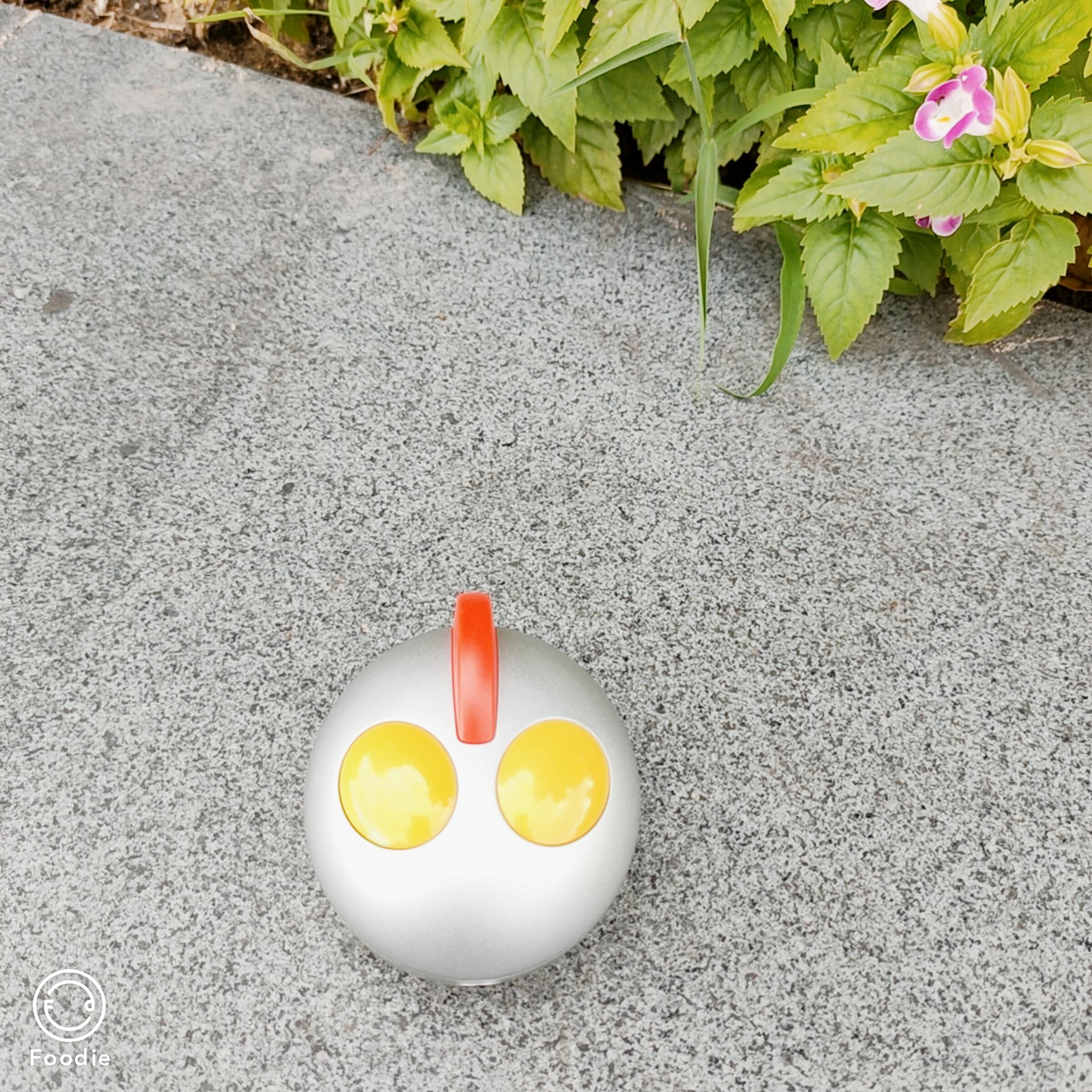 300元以内的儿童电动牙刷测评,宠物电动牙刷好不好