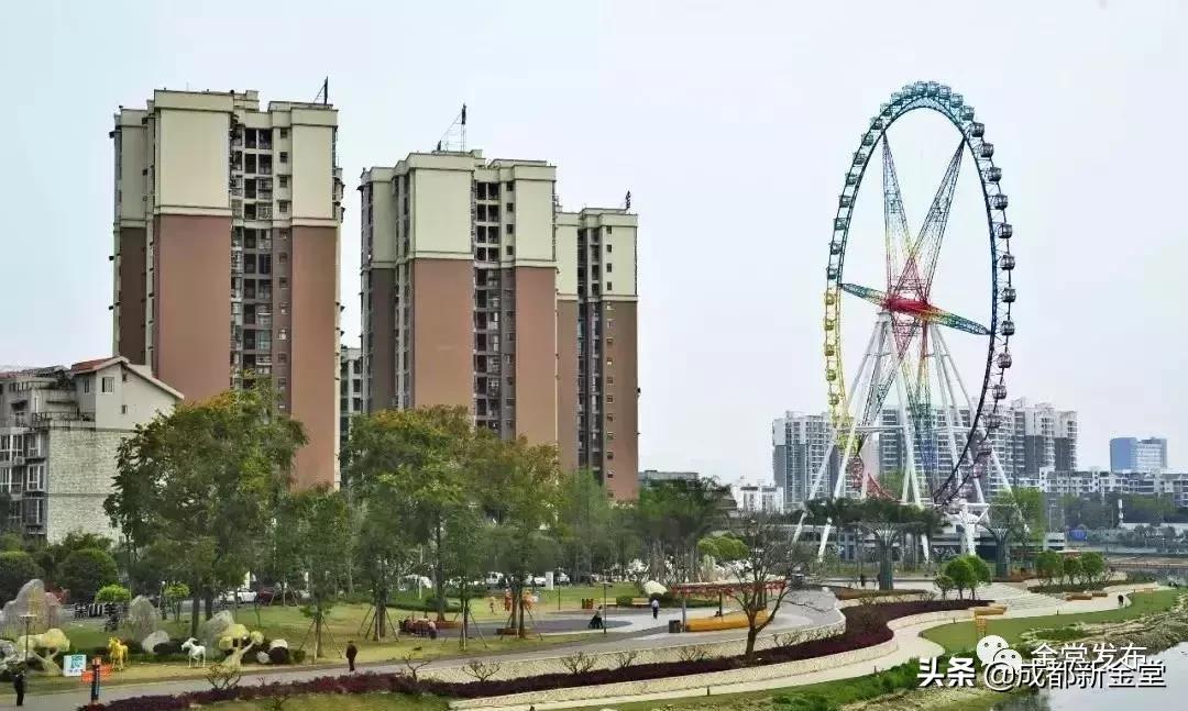 金堂人，你身边这条街已入选成都“最美街道”！