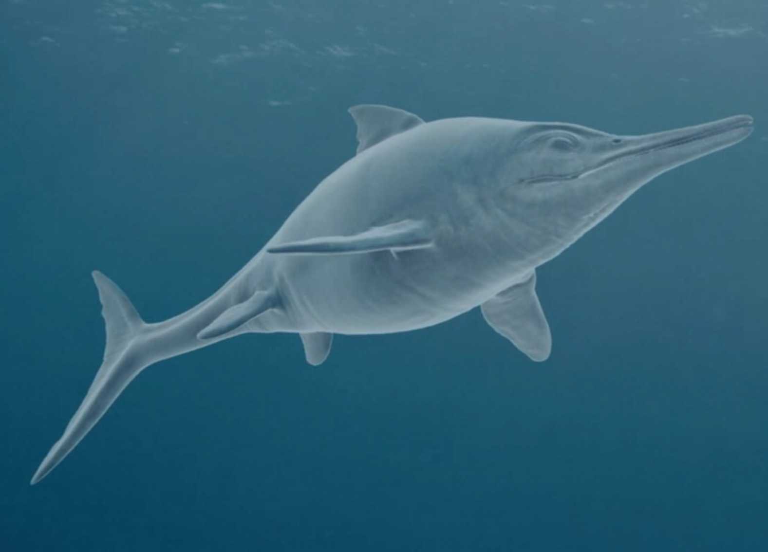 恐龙是如何灭绝的通关,恐龙是如何灭绝的300字