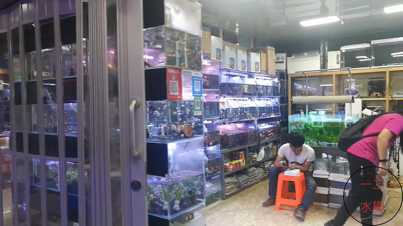 水族店经营技巧,如何让水族店生意越来越好