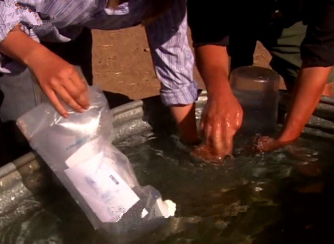 男性和女性排便差异,男性排屁量