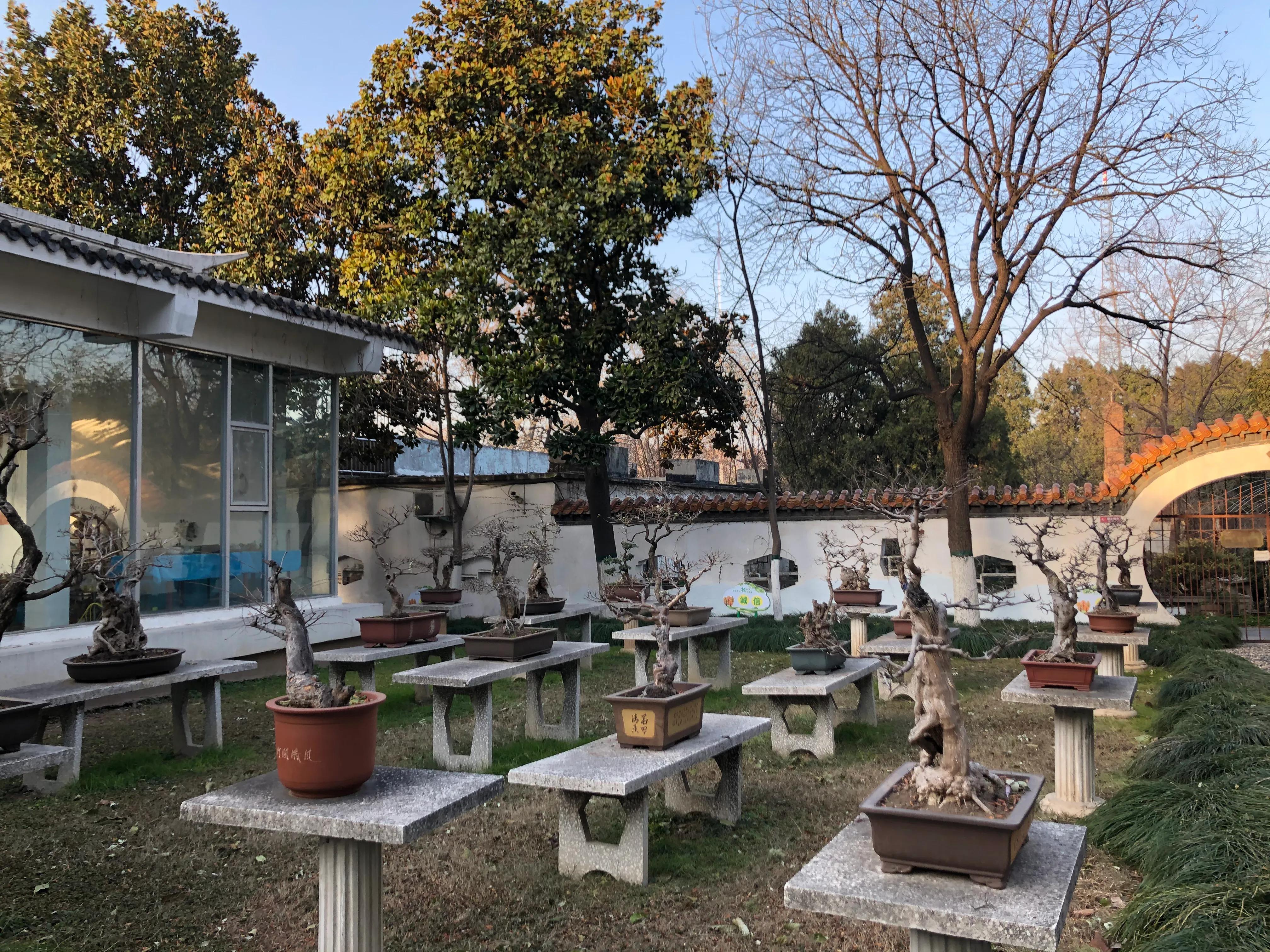 平顶山河滨公园旅游攻略,平顶山森林公园游记