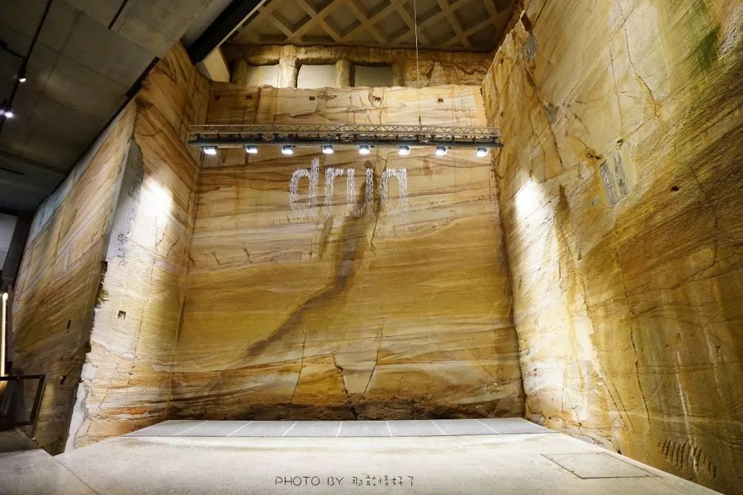 去哪里旅游可以看南极企鹅,旅游攻略南极看企鹅