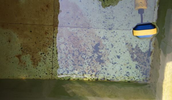 小米净水器h1000g深度评测,好的净水器到底有用吗