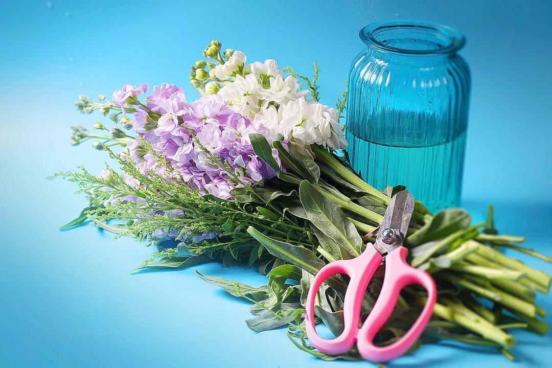 每日送花花语,花语大全送花的讲究