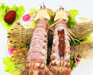 刺锅子、虾爬子、海蛎子，助力大连海味“出道”吧