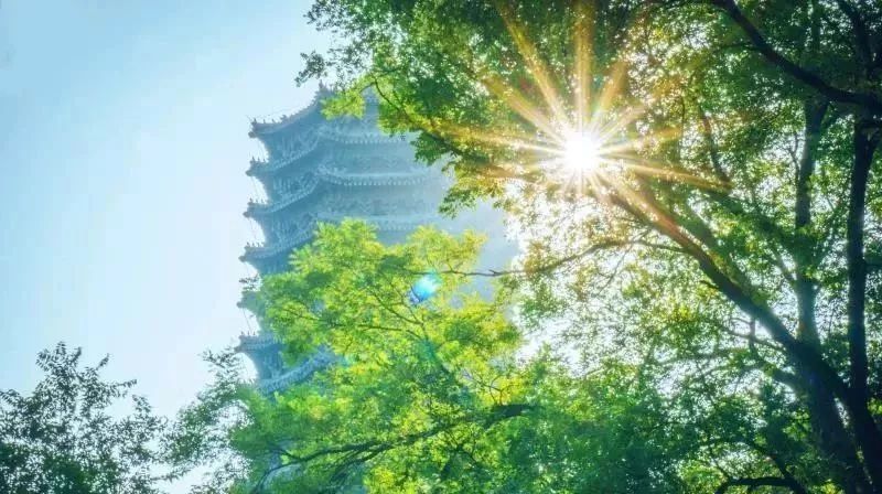 esi学科排名中国高校,一流学科建设高校最新排名