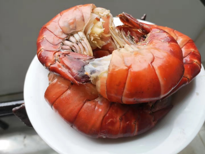 说走就走的旅行拒绝私聊,说走就走旅行没有尔虞我诈