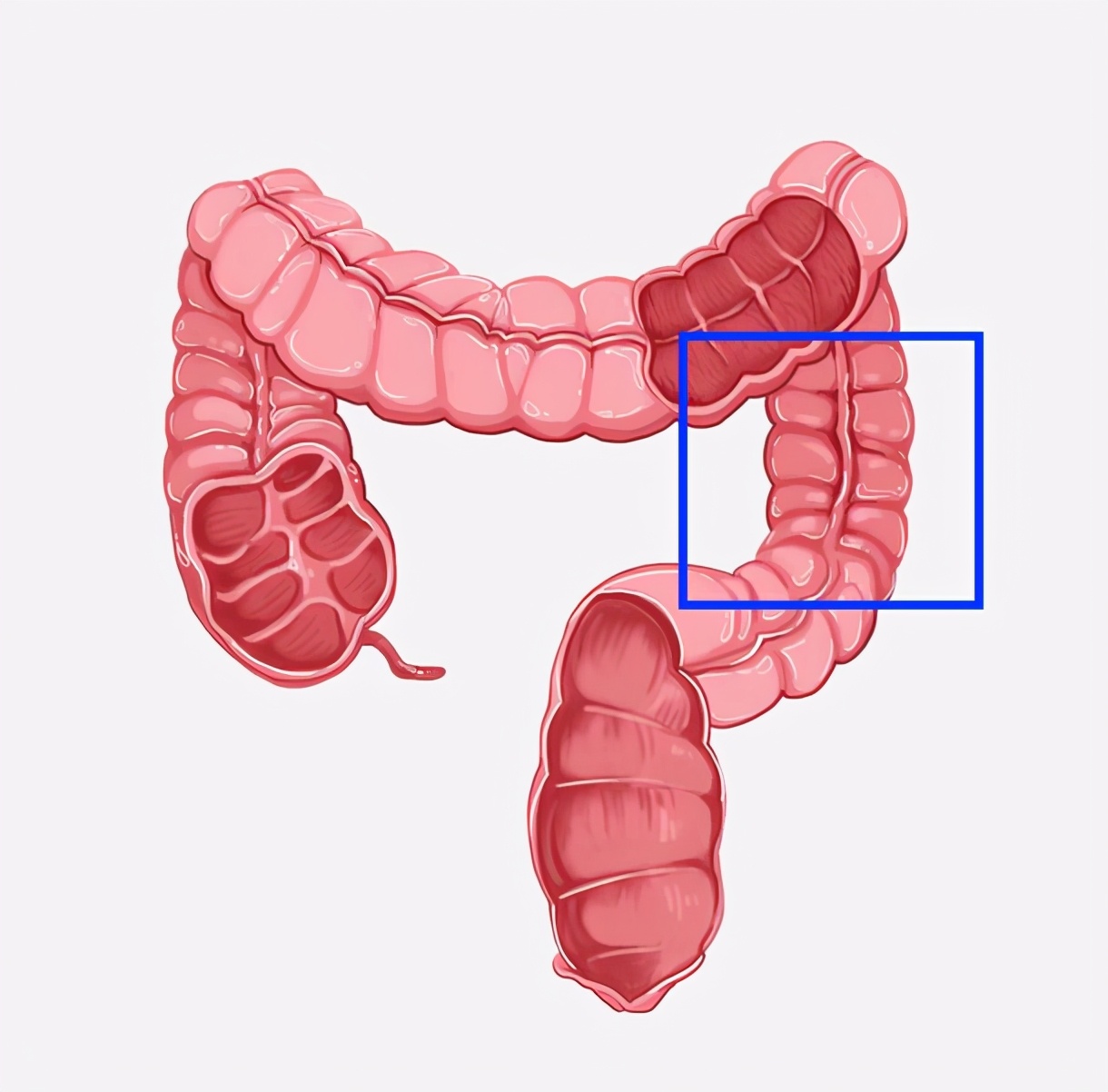 腹痛拍什么片子,腹痛到医院检查