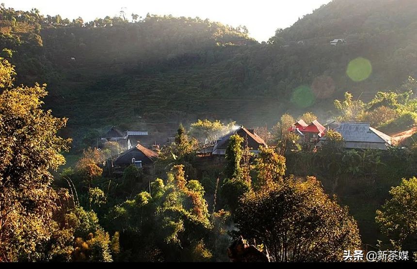 刀哥说茶叶视频大全,刀哥讲云南茶叶