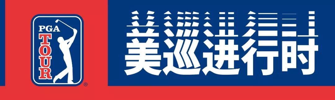 揭秘高尔夫内部,高尔夫最新政策