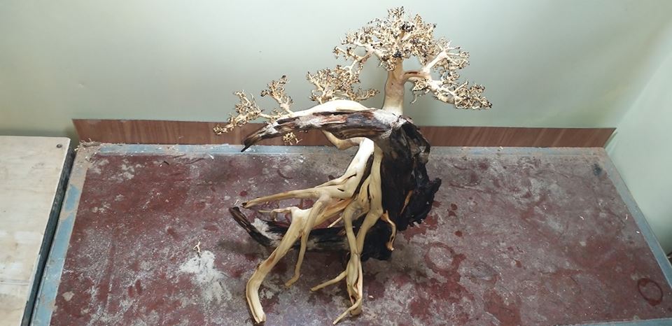 草缸的成本价,不花钱也能做的草缸教学