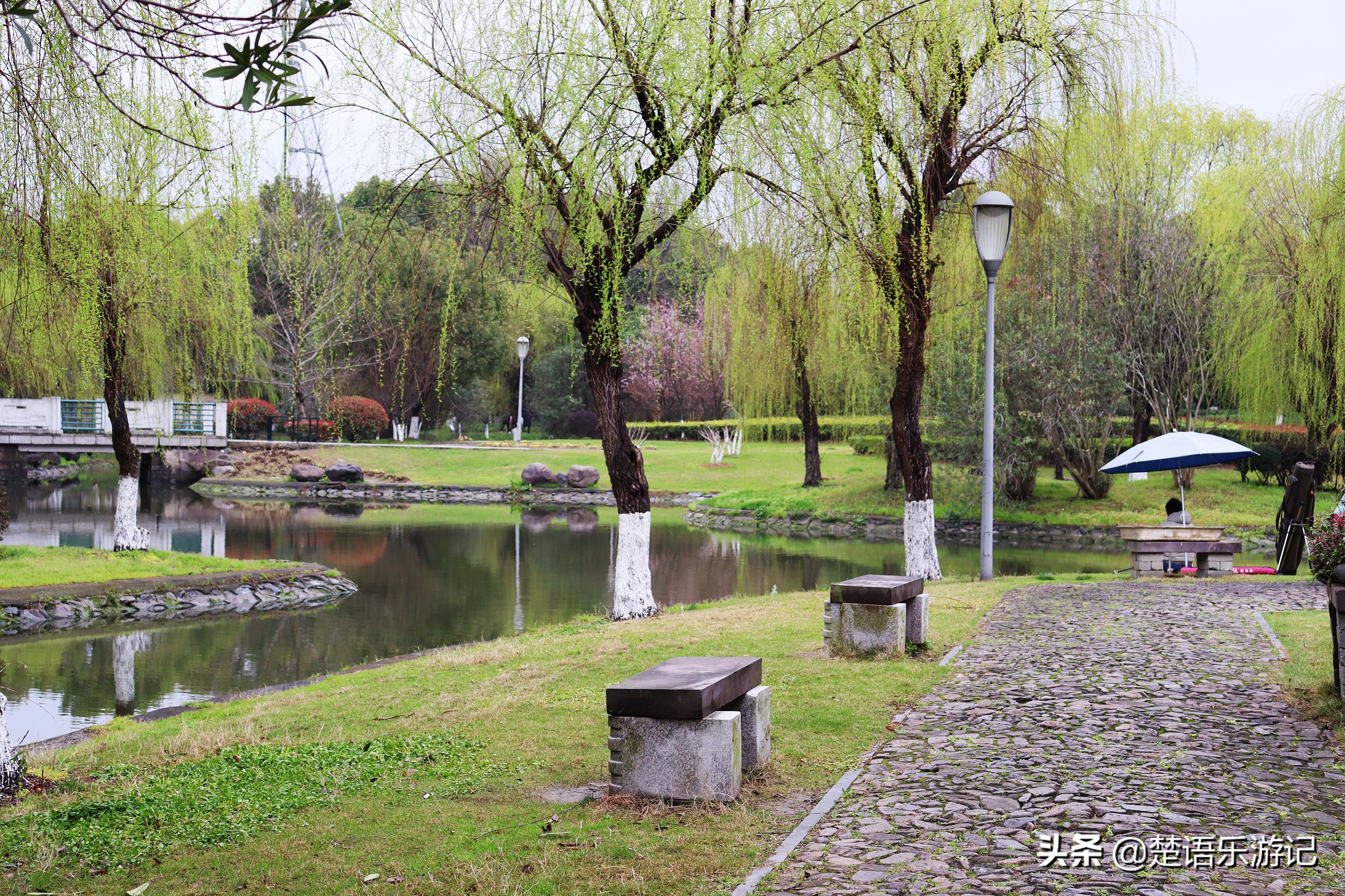 宁波免费的公园有哪些,宁波值得去的公园排行榜