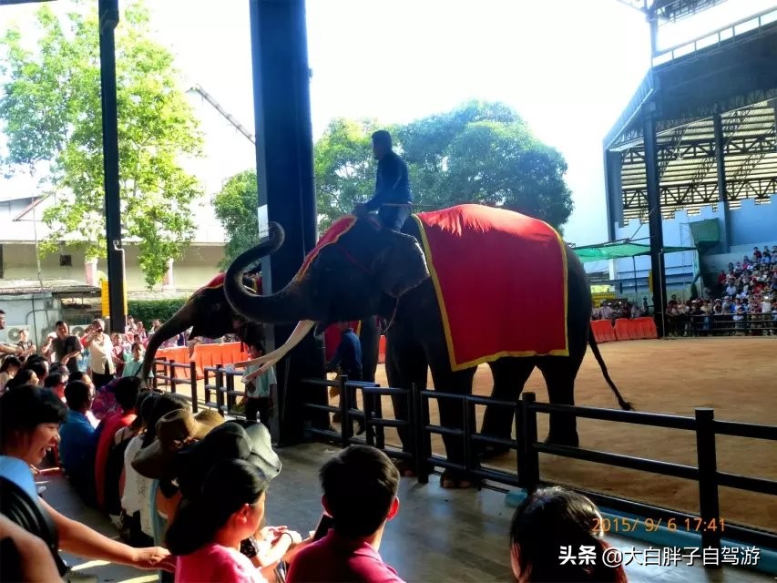 泰国风情之旅完整版,泰国风情记