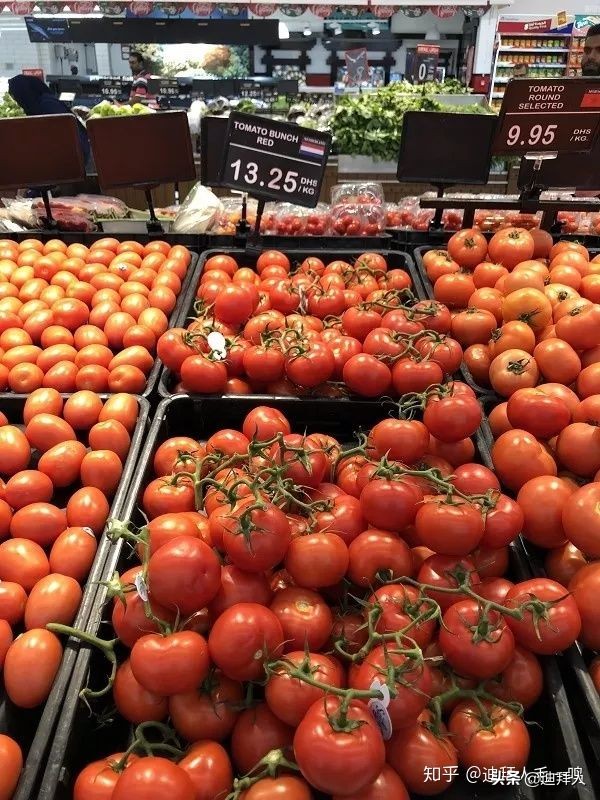 迪拜物价有多高,迪拜物价咋样的