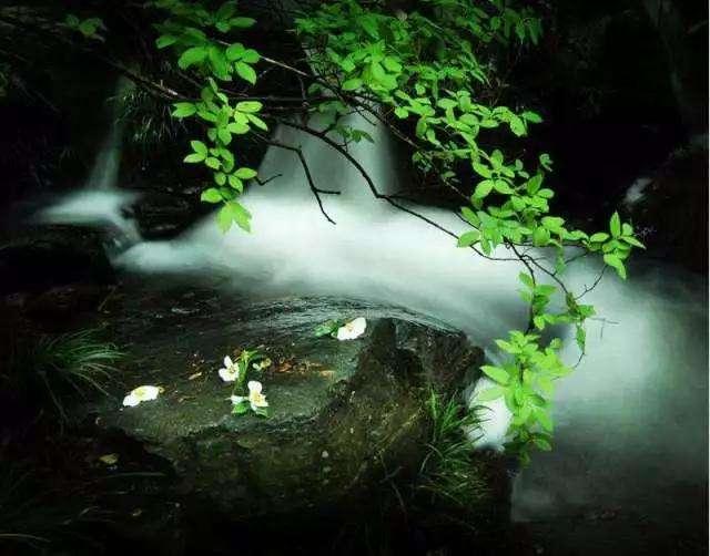 王维最精彩的山水诗，40个字的唐诗有30字在写秋天山林美景