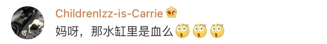 新生日记谢依霖生产视频,谢依霖水中顺利生产