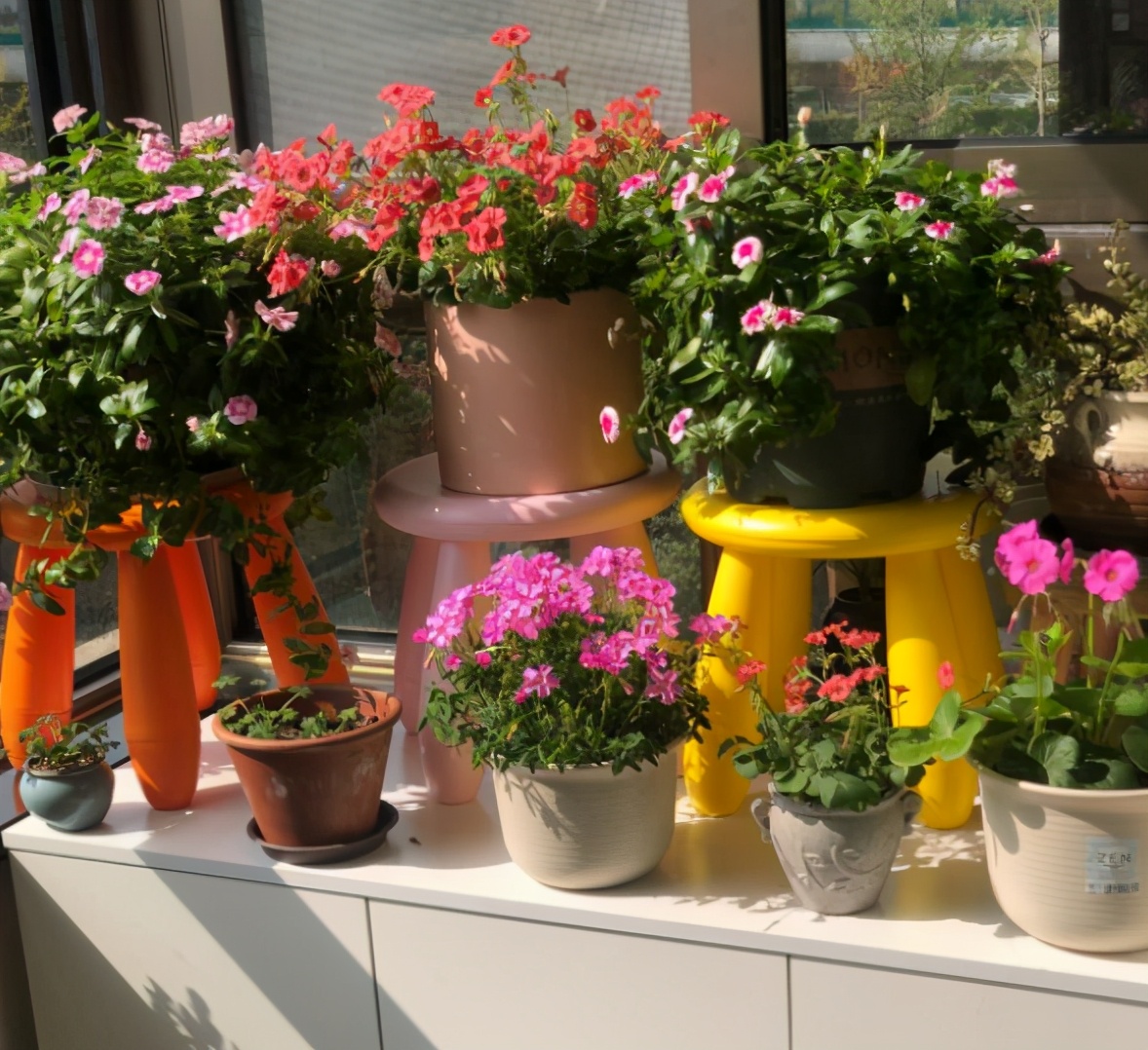 养花的小技巧大全视频,养花知识大全和小技巧