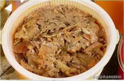 自制环保垃圾酵素危害巨大,厨余环保酵素的制作方法