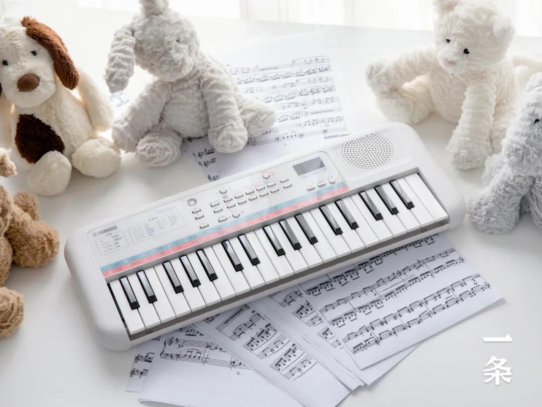 雅马哈自弹自唱的电子琴,目前最好的雅马哈电子琴最大一款