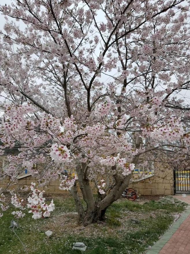 大连普兰店小众景点,大连免费的景点推荐
