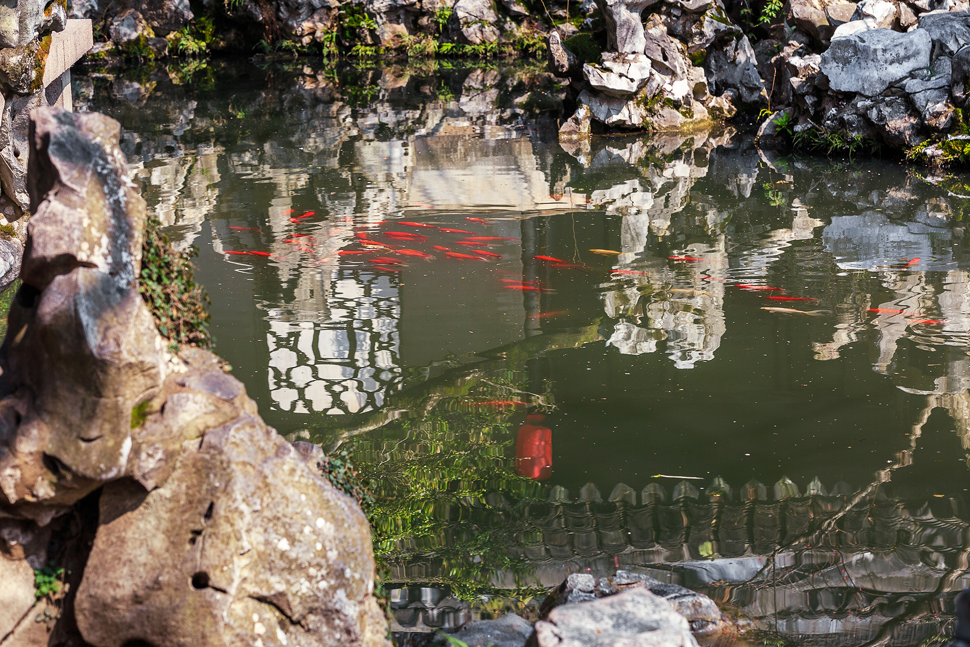 愿为人间客，世世在江南，不如来同里